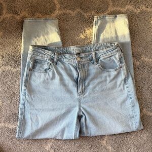 American Eagle Outfitters Light Blue Straight-Leg Jeans